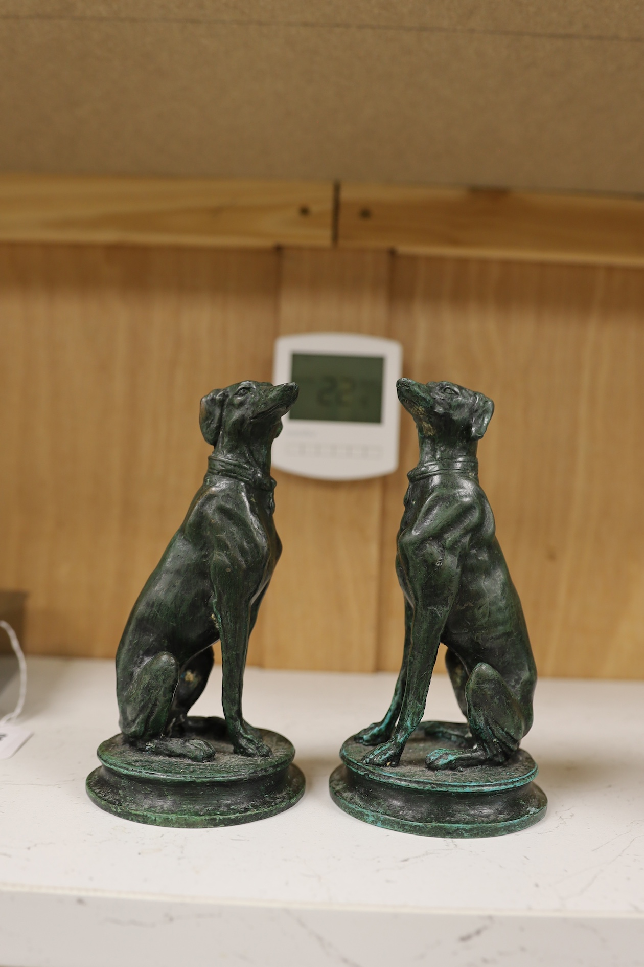 A pair of bronze seated whippets, 16.5cm high. Condition - fair